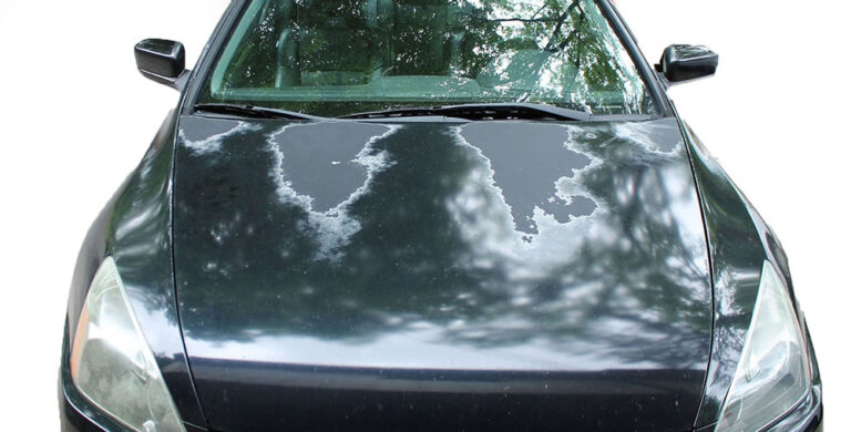 The Sun’s Rays Can Fade your Car’s Paint Over Time.